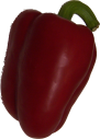 Paprika